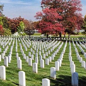 Venda e Locação de Jazigos em Americanopolis
